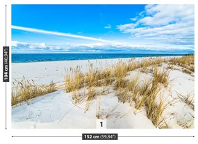 Fototapeta Vliesová Morské duny 104x70 cm