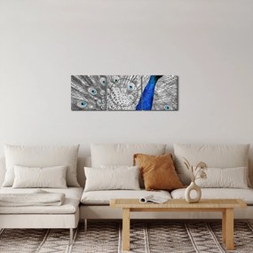 Obraz - modrý páv (s hodinami) (90x30 cm)