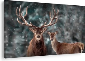 Obraz - Jeleň a laň v zasneženom lese (90x60 cm)