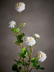 Umelý kvet (výška 101 cm) Chrysantemum – Bloomingville