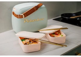 Chladiaci box sivozelený 6 l Classic Gold – Polarbox