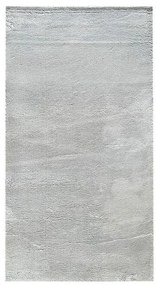 Koberec Loft 37 0,8/1,5 95 sivý