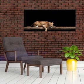 Obraz - Levice (120x50 cm)