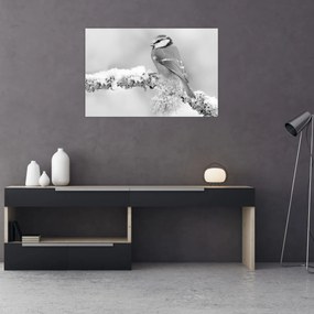 Obraz - Vtáčik na vetve (90x60 cm)