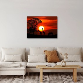 Obraz - Siluety zvierat pri západe slnka (70x50 cm)