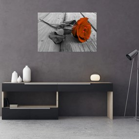 Obraz - Oranžová ruža (90x60 cm)