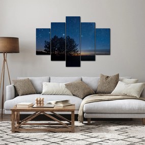 Obraz stromov v noci (150x105 cm)