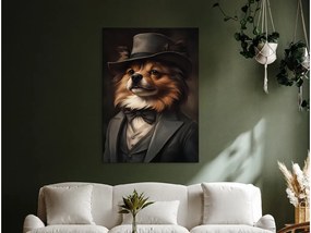 drevko |  Obraz Pomeranian v obleku