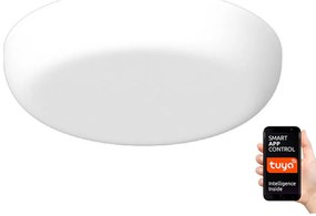 Immax NEO 07109K - LED Stmievateľné kúpeľňové podhľadové PRACTICO LED/24W/230V