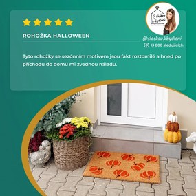 Hanse Home, DOPREDAJ: 45x75 cm Rohožka Halloween oranžové dýně 105677 - na ven i na doma, 45x75, oranžová, chodba / predsieň