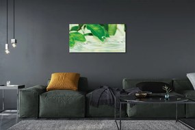 Obraz canvas Kvapky vody lístia 120x60 cm