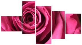 Obraz ružové ruže