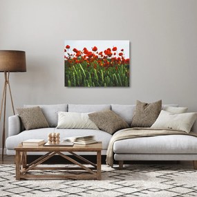 Sklenený obraz vlčích makov vo vetre (70x50 cm)
