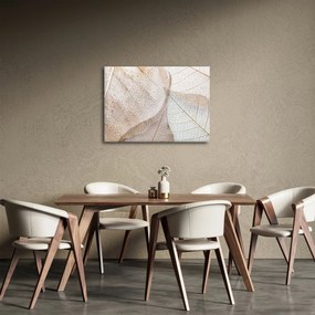 Obraz - Béžové listy (70x50 cm)
