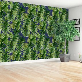 Fototapeta Vliesová Tropické monstera 416x254 cm