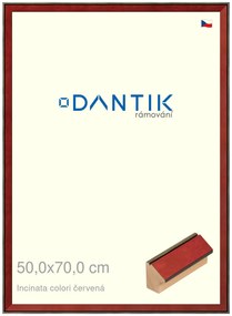 DANTIK rám na obraz 50x70 | INCLINATA colori červená (Plexi Čiré)