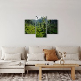 Obraz ryžových terás Tegalalang, Bali (90x60 cm)