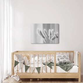 Obraz - Bunny tail grass (70x50 cm)