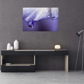 Obraz - Okvetný lístok s kvapkami (90x60 cm)