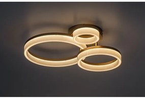 Rabalux 71383 - LED Stropné svietidlo AMILIA LED/24W/230V 3000/4000/6500K zlatá