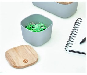 Sivý úložný box s vekom z dreva paulownia iDesign Eco, 9 x 9 cm