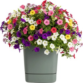 PLASTOVÝ KVETINÁČ CUBI 34X36,5 CM MÄTOVÁ