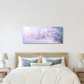 Obraz - Mrazivá zima (120x50 cm)