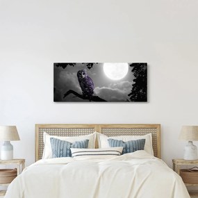 Obraz - Nočná sova, fialová sova (120x50 cm)