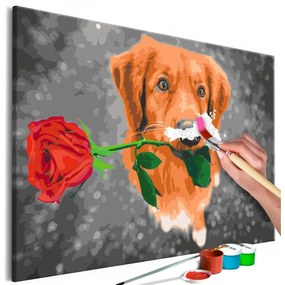 Obraz - maľovaný podľa čísel Dog With Rose