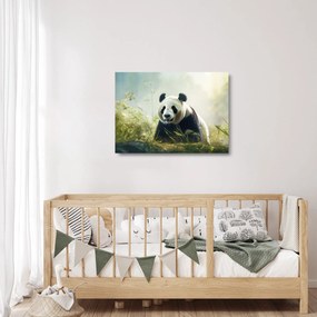 Sklenený obraz - Panda (70x50 cm)