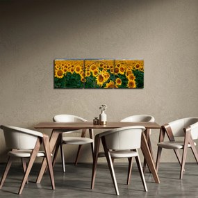 Obraz slnečnicového poľa (s hodinami) (90x30 cm)