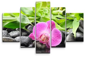 Sablio Obraz - 5-dílný Ružová Orchidea - 125x90 cm