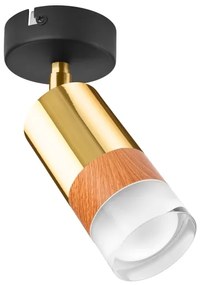 Nástenné bodové svietidlo AURORA 1xGU10/10W/230V