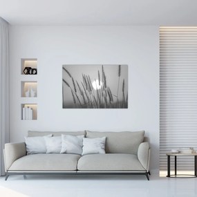 Obraz - Lúka pri západe slnka (90x60 cm)