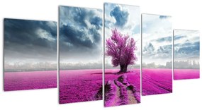 Levanduľové pole, obraz