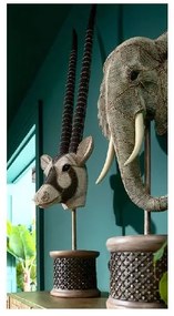 Antelope Head dekorácia