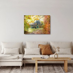 Sklenený obraz rybníka (70x50 cm)