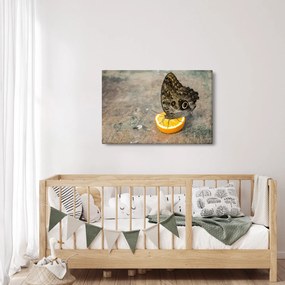 Obraz motýľa (90x60 cm)