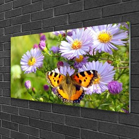 Obraz na skle Kvety motýľ príroda 120x60 cm