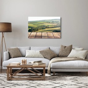 Obraz - Výhľad na krajinu (90x60 cm)