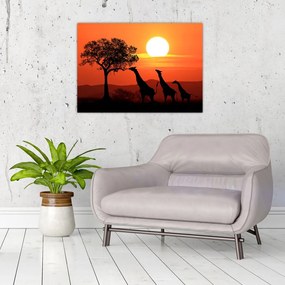 Sklenený obraz žirafy pri západe slnka (70x50 cm)