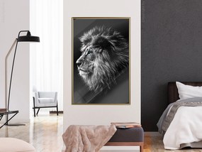 Artgeist Plagát - Blue-eyed Lion [Poster] Veľkosť: 40x60, Verzia: Čierny rám s passe-partout