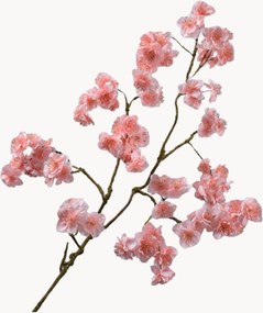 Rastlinná dekorácia Blossom