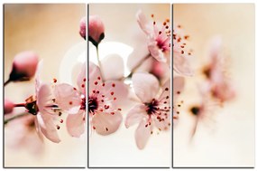 Obraz na plátne - Malé kvety na vetve 1173B (150x100 cm)