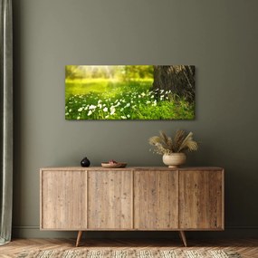Obraz paseky a kvetín (120x50 cm)