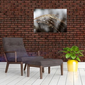 Sklenený obraz kvapiek na rastline (70x50 cm)
