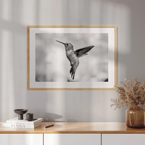 Plagát s fotografiou kolibríka v lete