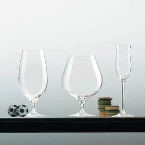 Leonardo Poháre na grappe glass CHEERS