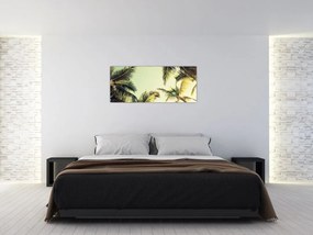 Obraz s kokosovými palmami (120x50 cm)