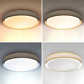 Brilagi - LED Stmievateľné stropné svietidlo KIANIA LED/48W/230V 3000-6500K + DO